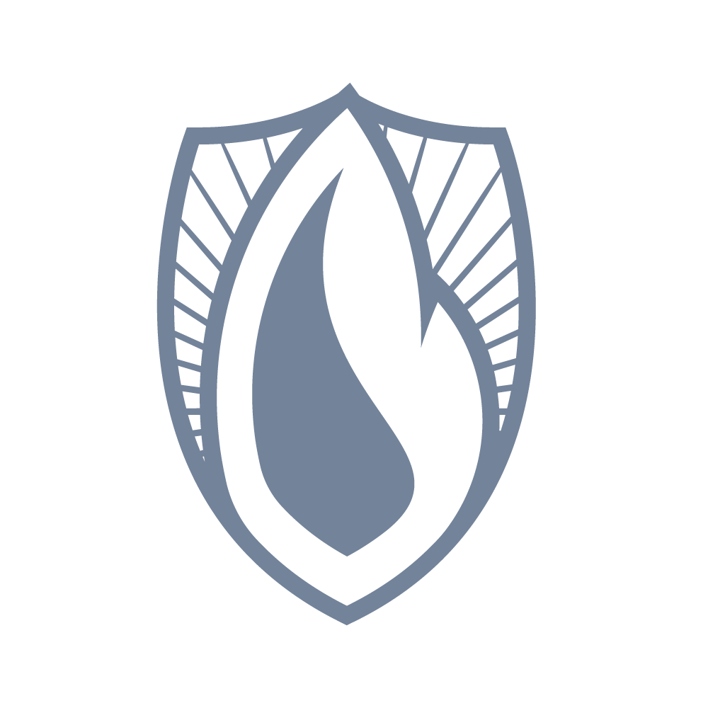 Hard Hat and Face Shield